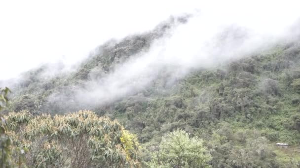 Machu Pichu ve getting there macera — Stok video