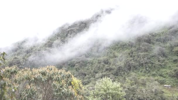 Machu Pichu en het avontuur bereikbaarheid — Stockvideo