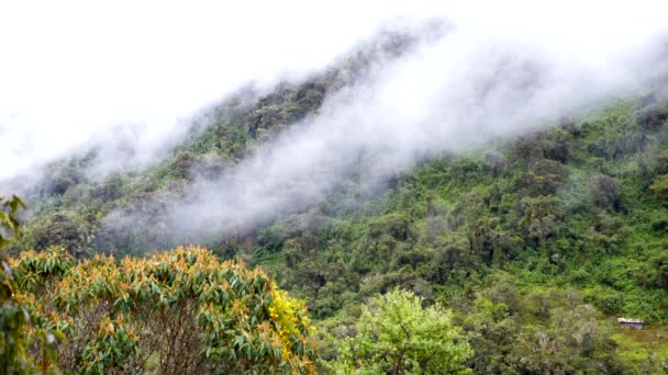 Machu Pichu en het avontuur bereikbaarheid — Stockvideo