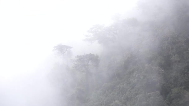 Machu Pichu y la aventura de llegar allí — Vídeo de stock