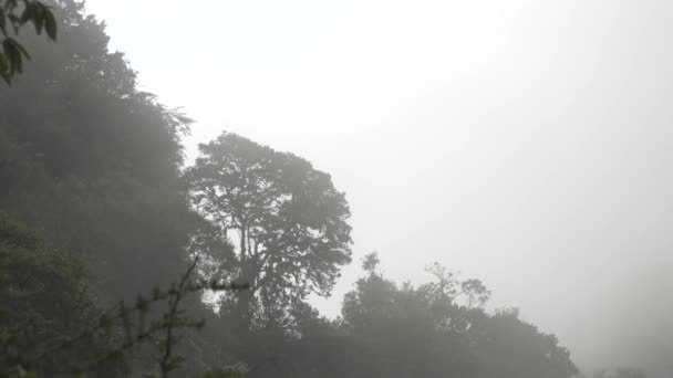 Machu Pichu Salkantay Trekking Üzerinden Neredeyse Macera — Stok video