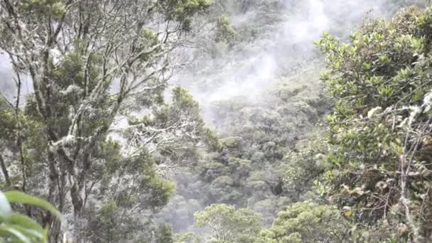 Machu Pichu och äventyret att komma dit — Stockvideo