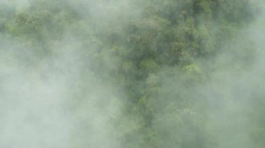 Machu Pichu ve Salkantay trekking üzerinden neredeyse macera