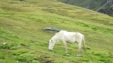 Gökkuşağı dağ dağlarda