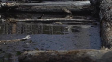 Ushuaia manzaralar ve Arjantin'deki göller