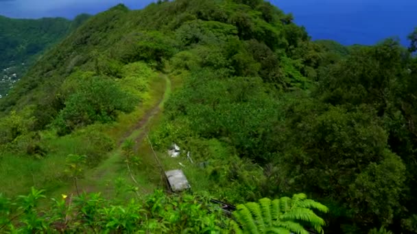 Paisaje de Pago Pago desde arriba de la isla — Vídeos de Stock