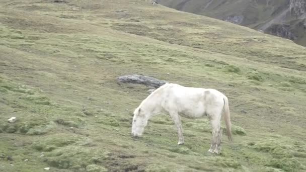 Rainbow Mountain i bergen — Stockvideo