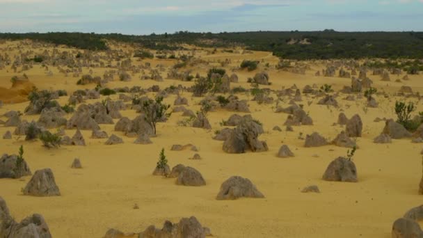 Pinakels woestijn Sunrise in Perth Australië — Stockvideo