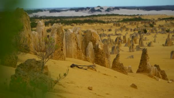 Pináculos Desierto Amanecer en Australia Perth — Vídeos de Stock