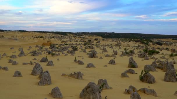 Pináculos Desierto Amanecer en Australia Perth — Vídeos de Stock