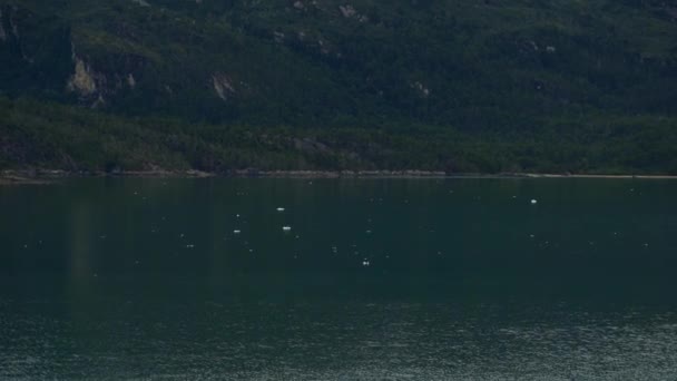 Chilenische Fjorde Mit Kreuzfahrtschiff Zwischen Den Gletschern — Stockvideo