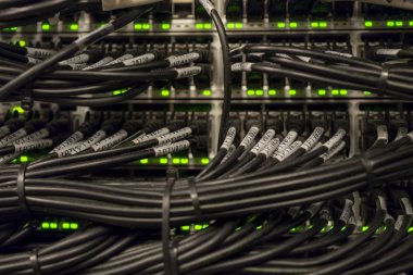 Ağ anahtarı ve Ethernet kabloları yerel ağ ve IPTV içine yamalı