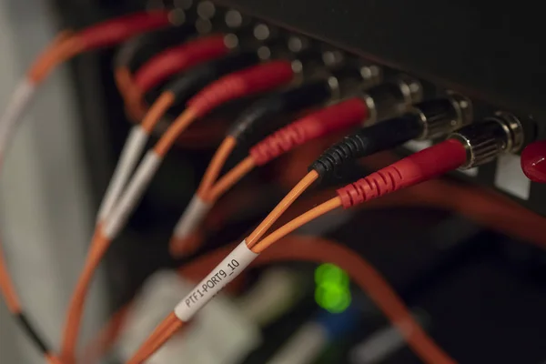 Optical distribution panel with connected patch cord cable