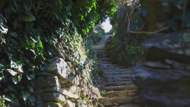 Treppenweg auf dem Wanderweg von Monterosso, Cinque Terre, Italien — Stockvideo