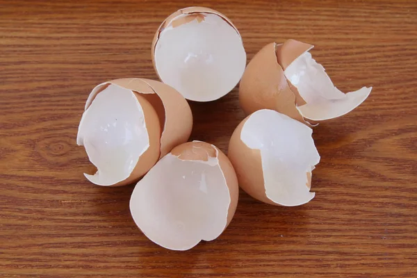 Kırık Yumurta Kırık Yumurta Kabukları — Stok fotoğraf
