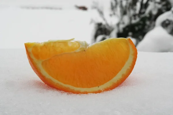 氷の上のオレンジのスライス 雪の上のオレンジ スライス — ストック写真