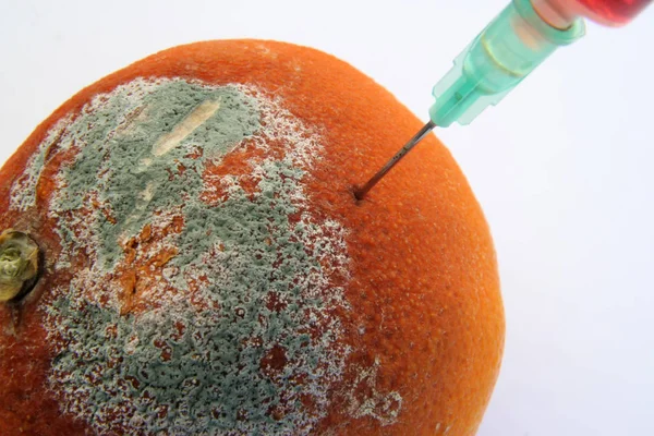 烂橙色和医用注射器 治疗腐烂的橘子 — 图库照片