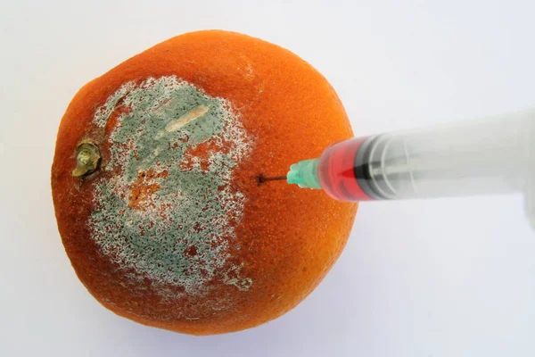 Rotten Orange Medical Syringe Healing Rotten Orange — Stock Photo, Image