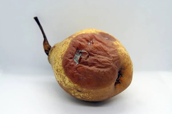 Rotten pear. Mold on the pear. Rotten fruit.