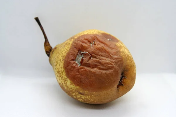 Rotten Pear Mold Pear Rotten Fruit — Stock Photo, Image