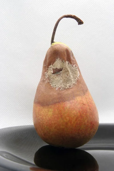 Bad Päron Dålig Frukt Gjuten Päron Gjuten Frukt Dålig Mat — Stockfoto