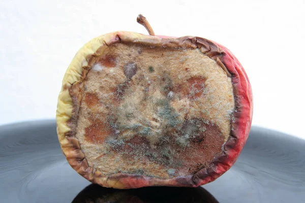 Μουχλιασμένο Μήλο Μαύρο Πρόβατο Κακά Φρούτα Σάπια Φρούτα Σάπιο Μήλο — Φωτογραφία Αρχείου