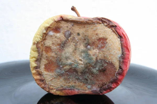 霉蛋苹果 坏水果腐烂的水果 罗滕苹果 — 图库照片