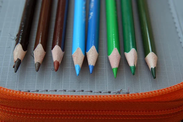 蜡笔有各种颜色 色彩艳丽的蜡笔 学前教育设备 — 图库照片