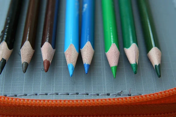 Kleurpotloden Verschillende Kleuren Kleurrijke Krijtjes Voorschoolse Uitrusting — Stockfoto