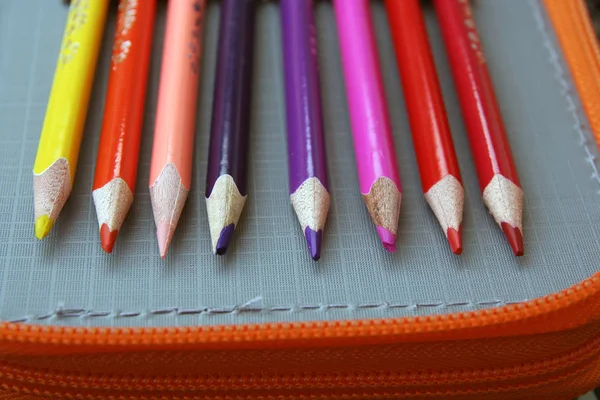 Kleurpotloden Verschillende Kleuren Kleurrijke Krijtjes Voorschoolse Uitrusting — Stockfoto