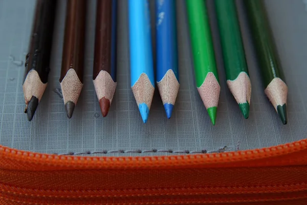 蜡笔有各种颜色 色彩艳丽的蜡笔 学前教育设备 免版税图库照片