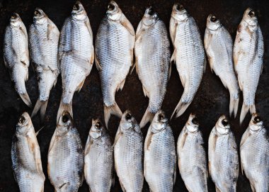 Paslı siyah arka plan üzerinde balık yalan kurutulmuş