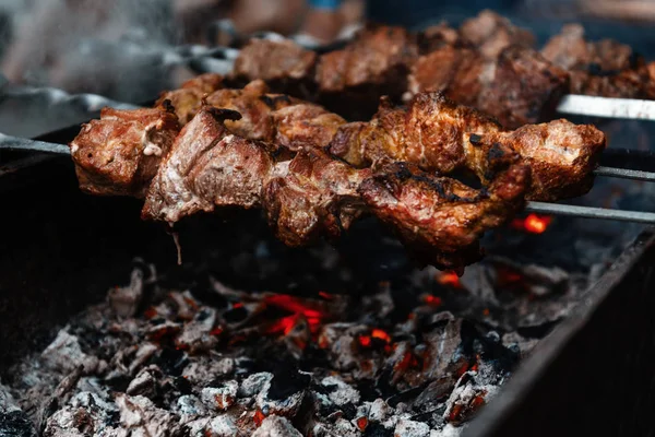 Meat Skewer Roasted Fire — Stock Photo, Image