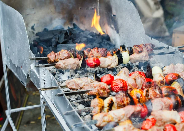 Shish Kebab Vegetables Skewer Fried Open Fire — Stock Photo, Image