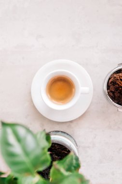 Espresso fincan, portafilter ve mermer zemin üzerine kahve bitki
