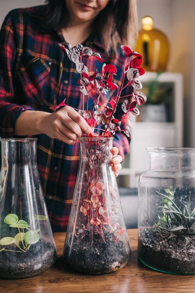 Womena Taking Care Her Bottle Gardens — Stock Photo, Image