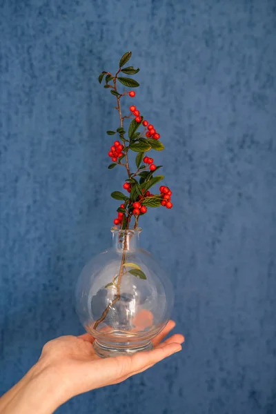 Hand Holding Vase Made Glass Red Beries Branch — Stock Photo, Image