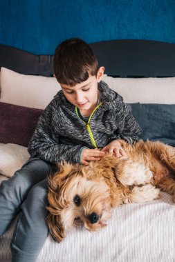 Küçük bir çocuk ve onun köpeği bir kanepede