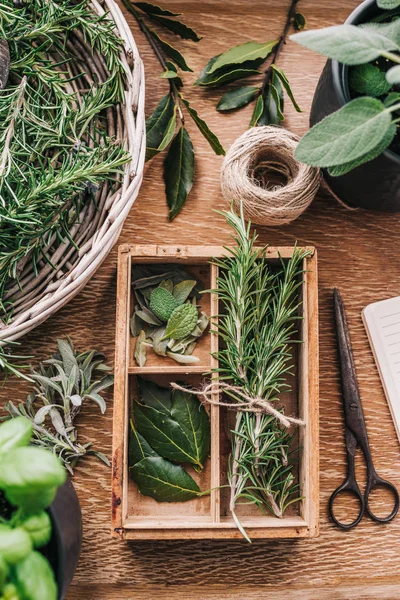 Fresh herbs — Stock Photo, Image