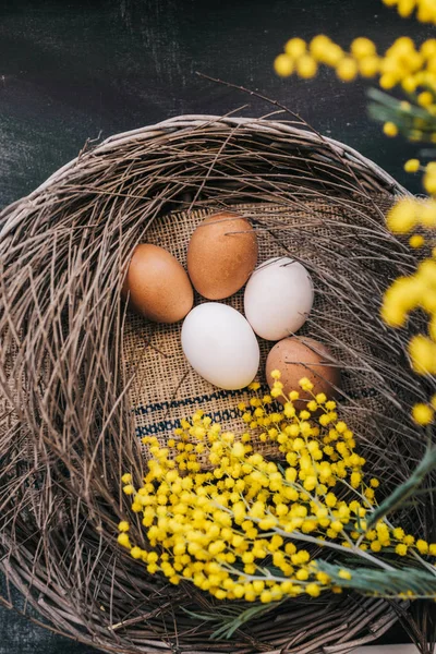 Eieren in een nest — Stockfoto