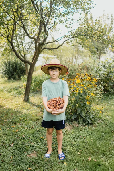 Niño en el jardín — Foto de Stock