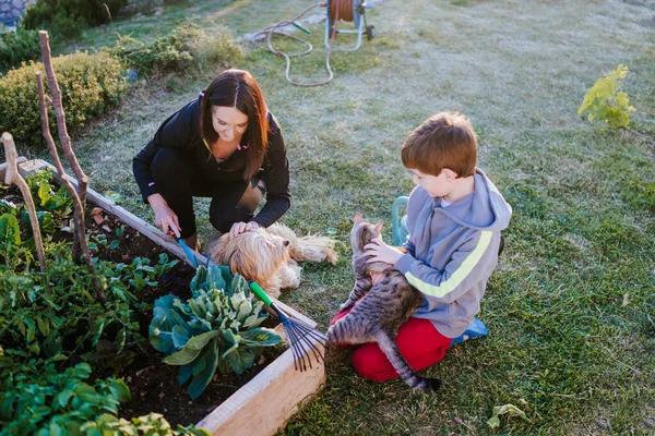 Mãe Seu Filho Animais Estimação Jardim — Fotografia de Stock