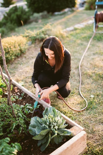 Woman Watering Vegetables Raised Bed — Stock Photo, Image
