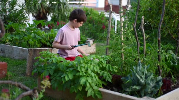 Niño Trabajando Huerto — Vídeos de Stock