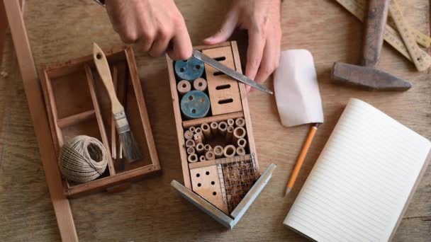 Mani Che Fanno Bug Hotel — Video Stock