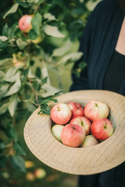 모자쓴 사과를 — 스톡 사진