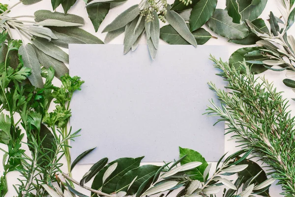 Fond Herbes Méditerranéennes Feuilles Fraîchement Cueillies Avec Papier Blanc — Photo