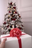 vánoční dárek a strom