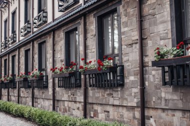 Binanın ön cephesi kırmızı çiçeklerle süslenmiş.