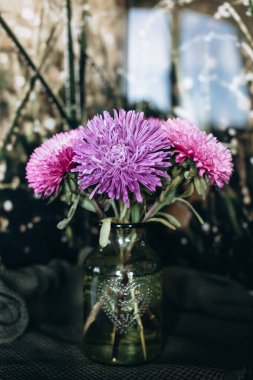 Mor bir çiçeğe yaklaş